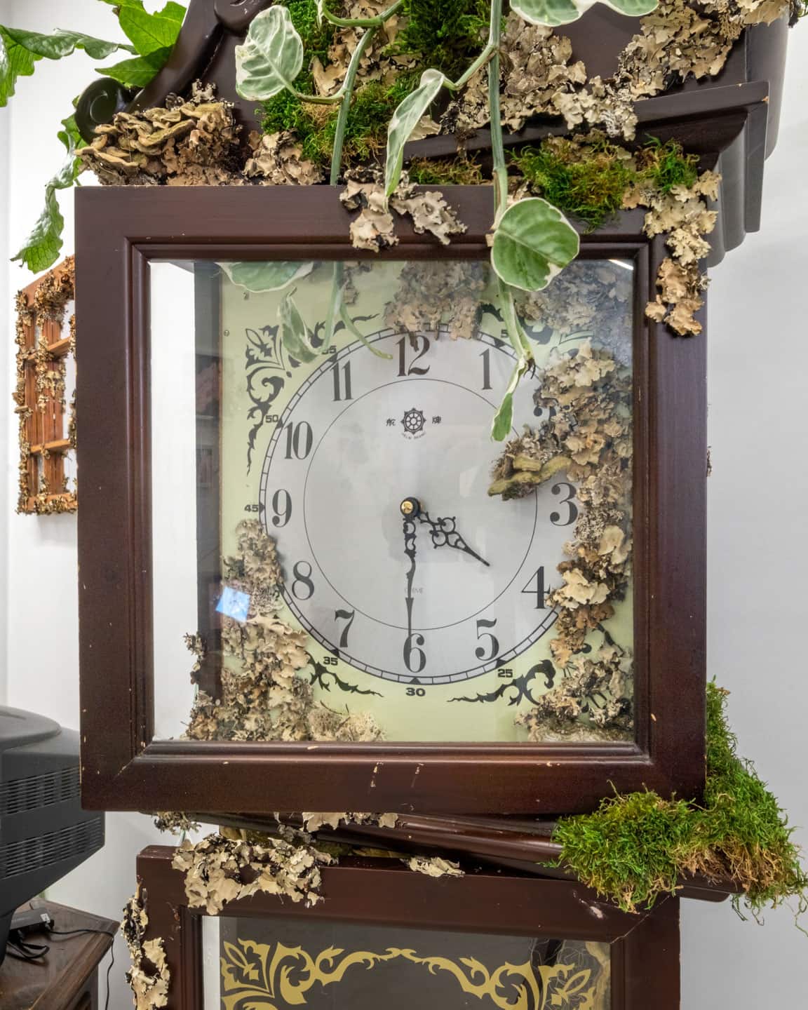 Peculiar Movements/Green Junctions at NAMARA projects